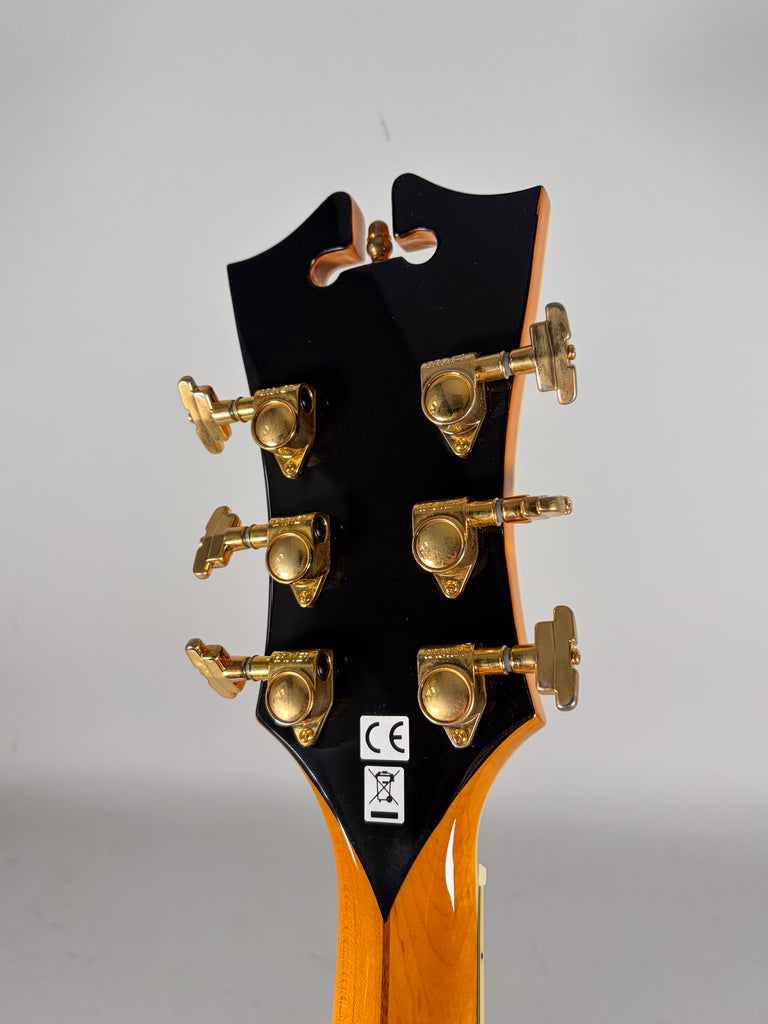 2014 D'Angelico EXL-1 Excel Archtop Electric Guitar w/OHSC