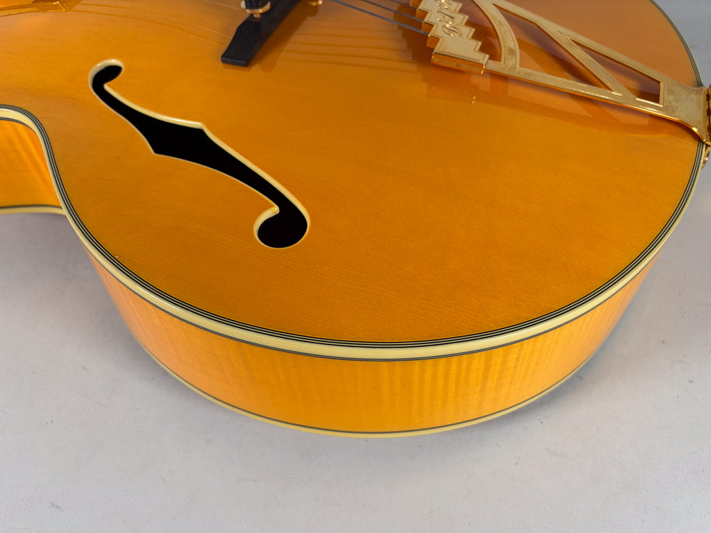 2014 D'Angelico EXL-1 Excel Archtop Electric Guitar w/OHSC