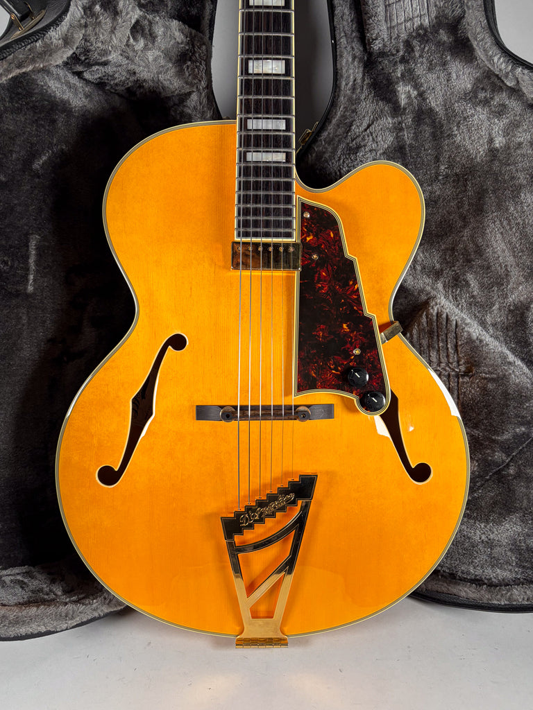 2014-dangelico-guitar-san-diego