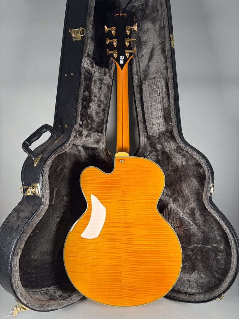 2014-dangelico-guitar-san-diego