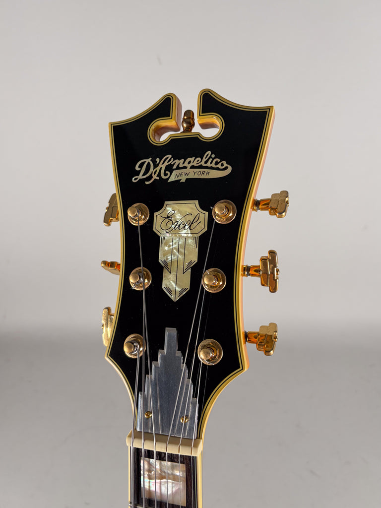 2014-dangelico-guitar-san-diego