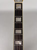 2014-dangelico-guitar-san-diego