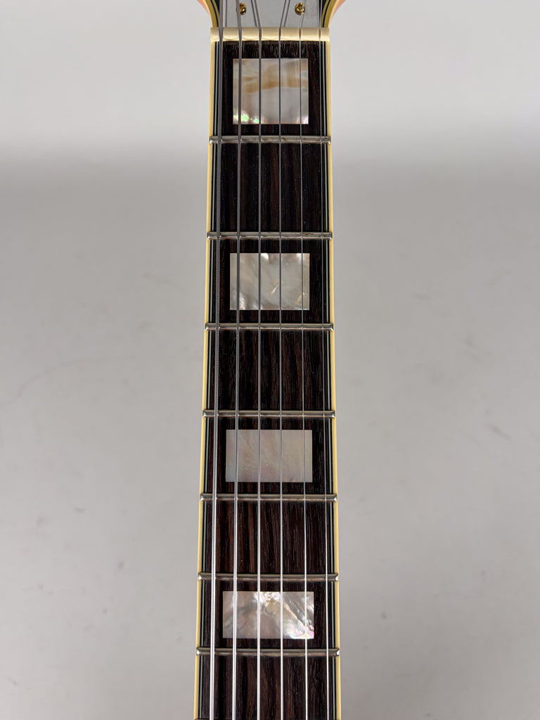 2014-dangelico-guitar-san-diego
