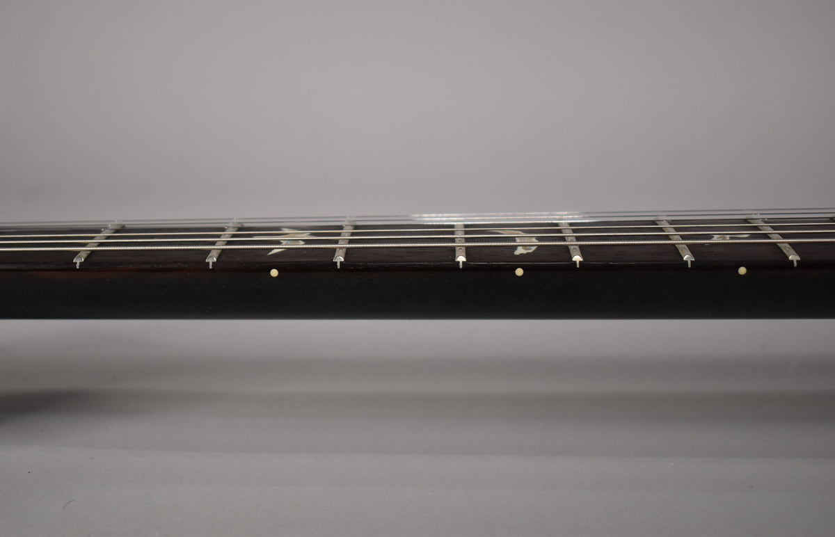 Close-up of the guitar's dark fretboard, showing white bird inlays and small cream side dots, with strings and frets visible.