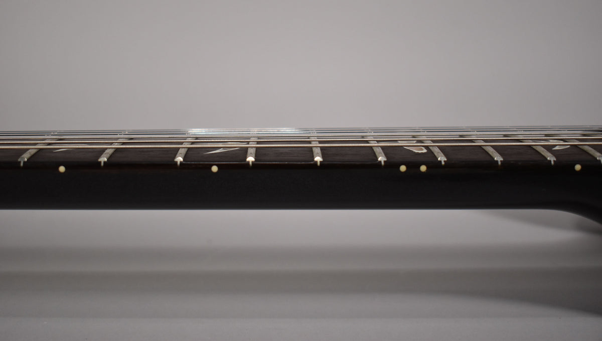 The guitar's dark fretboard is shown from the side, revealing light-colored fret markers and small circular side dots.