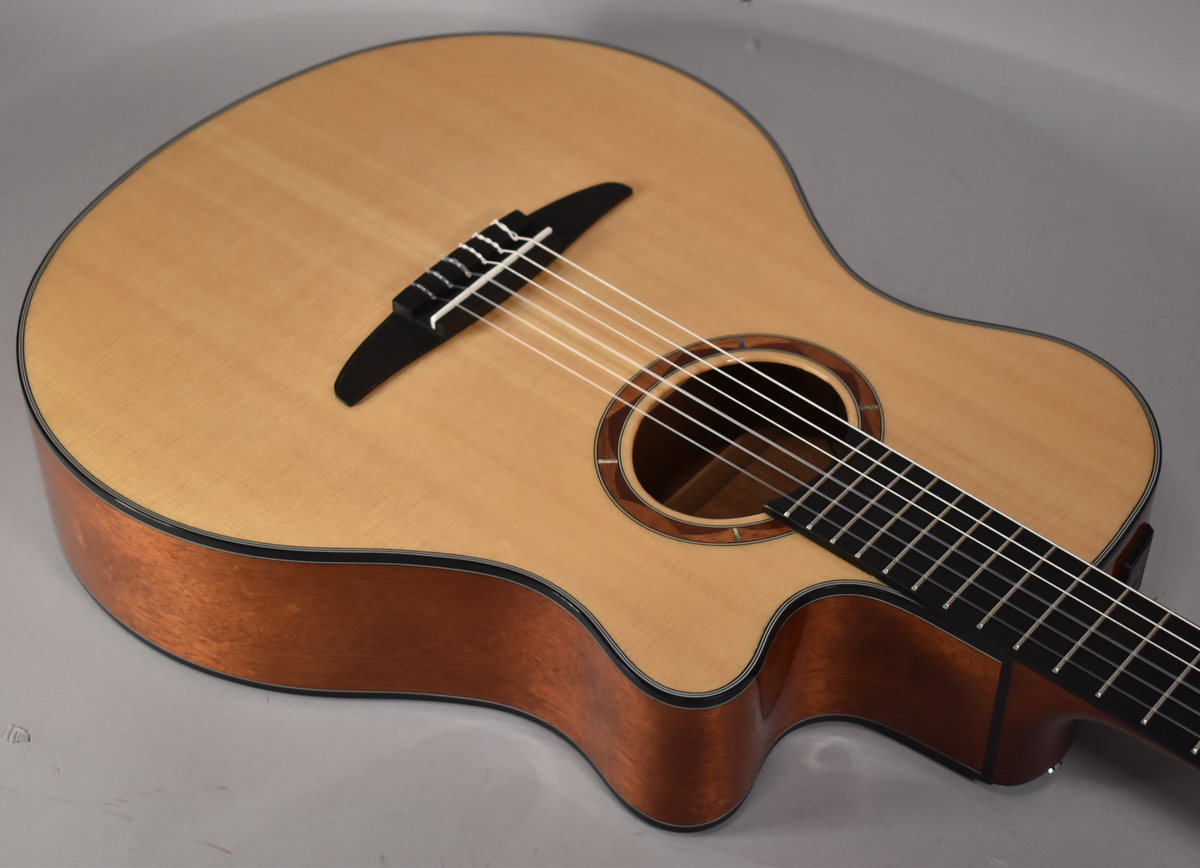 The classical guitar's light wood top and dark wood sides are visible from the upper bout, with a cutaway and decorative rosette.
