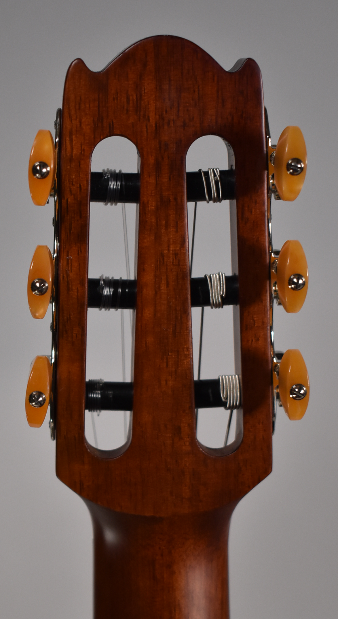 The back of the guitar's dark brown headstock is visible, with six amber tuning pegs and silver string posts.