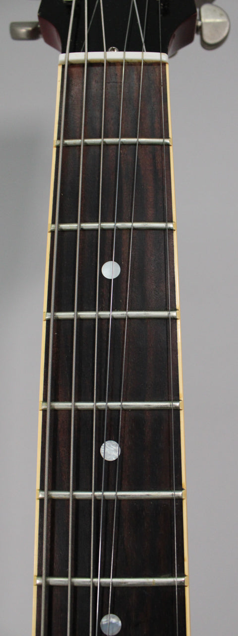 Close-up of the dark rosewood fretboard with white dot inlays, showing the nut, frets, and six strings.