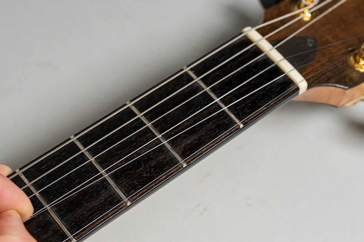 Close-up of the dark fretboard and frets, with a cream nut and gold tuning pegs visible at the top.