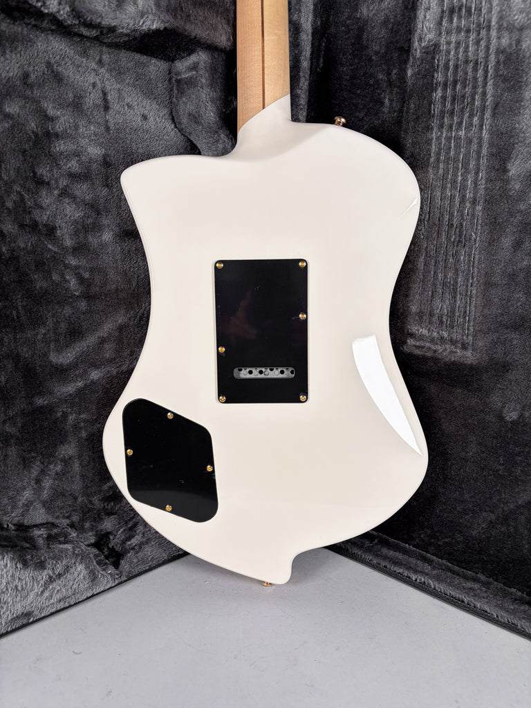 2018-dangelico-ludlow-guitar-san-diego