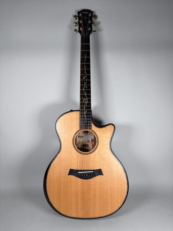 2018-taylor-acoustic-guitar-san-diego