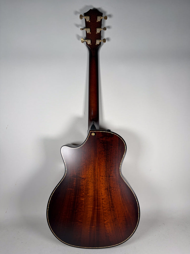 2018-taylor-acoustic-guitar-san-diego