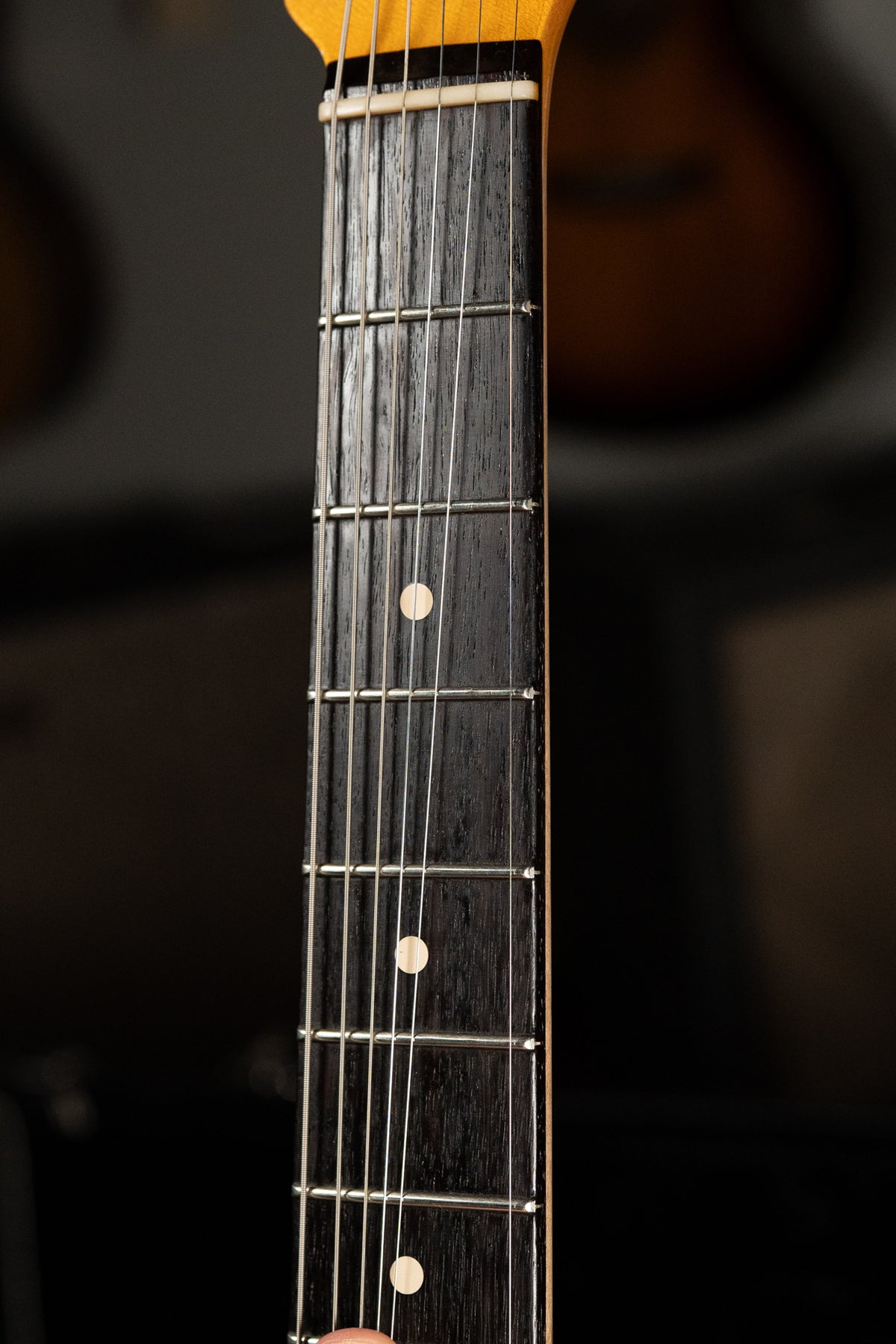 Close-up of the dark rosewood fretboard with light dot inlays, showing frets and strings, and a bone nut at the top.
