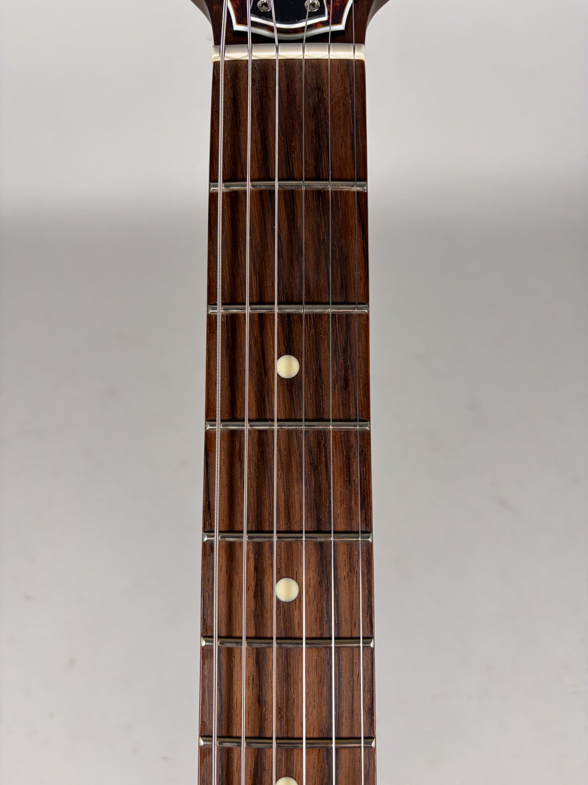 2019 Godin Radiator Trans Cream Finish w/Gig Bag