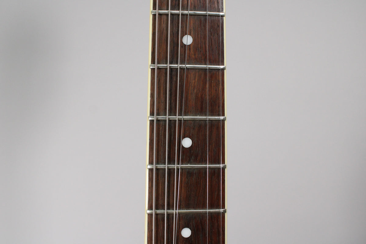 Close-up of the guitar's dark brown fretboard with white dot inlays, showing frets and strings, against a light grey background.