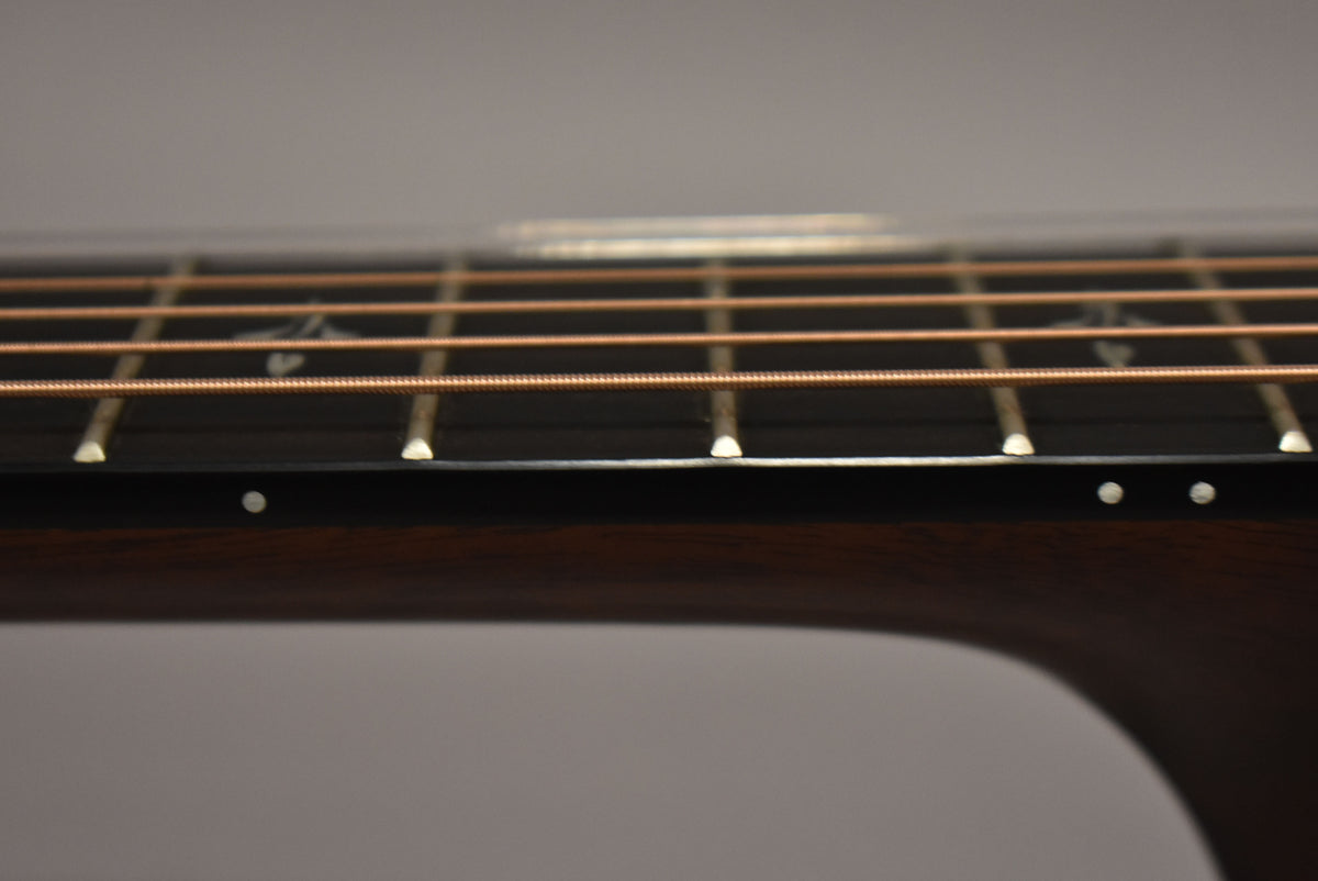 Close-up of the guitar's dark fretboard and light-colored frets, with copper-colored strings and white side dot markers.