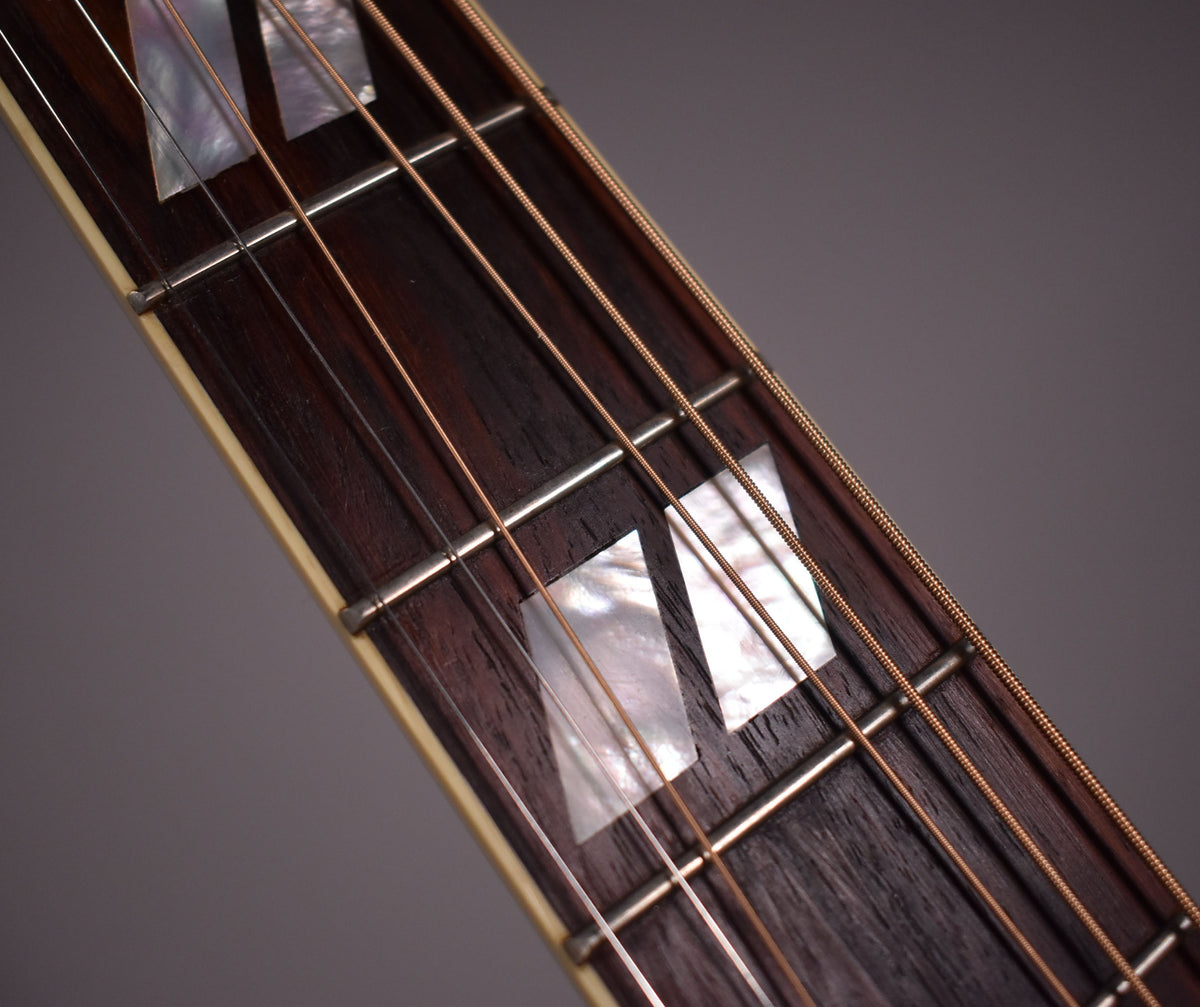 Close-up of the dark wood fretboard with mother-of-pearl parallelogram inlays, metal frets, and bronze strings.