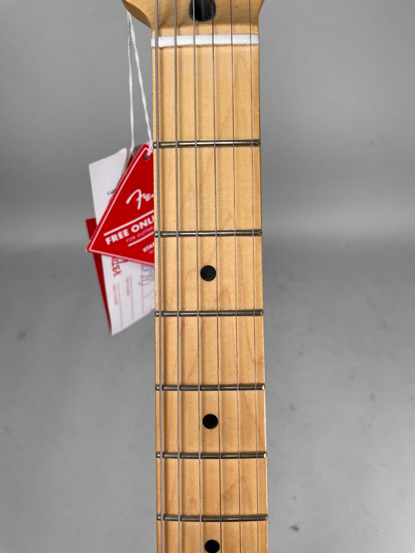 Close-up of the maple fretboard and frets, with black dot inlays and a white nut, and a red hang tag visible on the left.