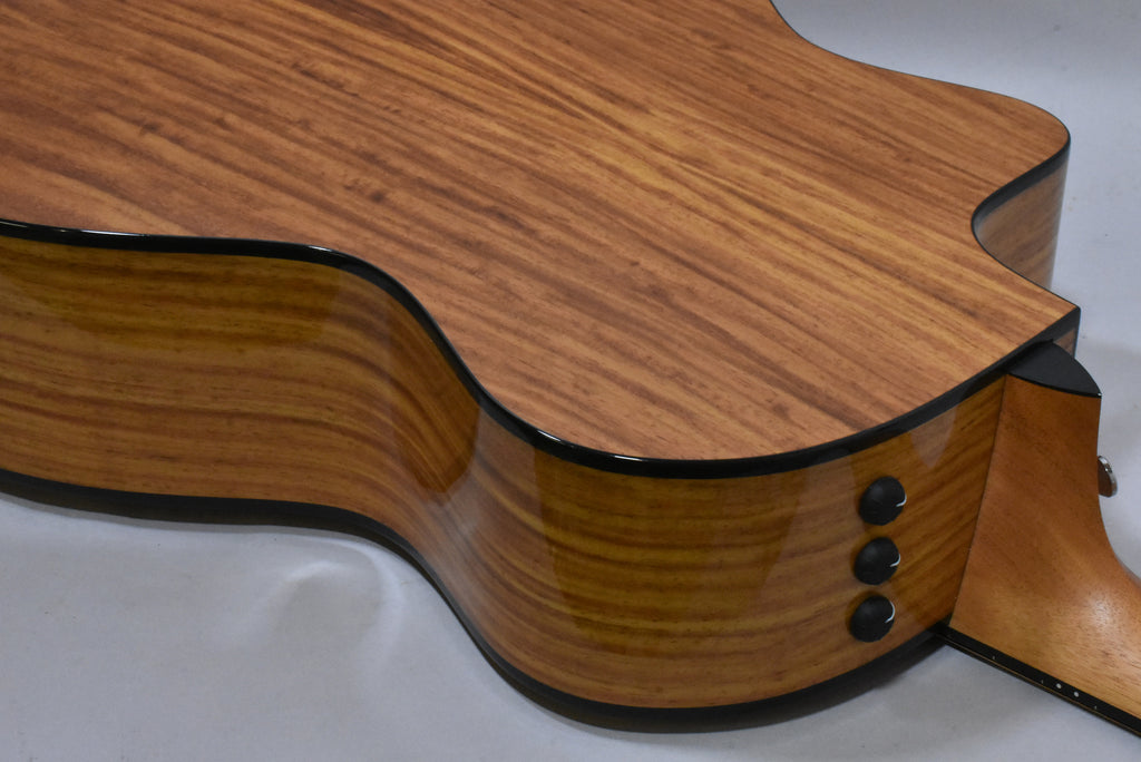 2022 Taylor 254ce Plus 12-String Grand Auditorium Acoustic-Electric Guitar Natural w/OSSC