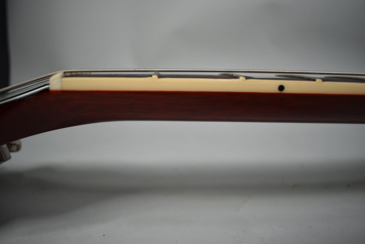 Close-up of the guitar's dark brown neck and cream binding, showing the nut, strings, and a single black fret marker.