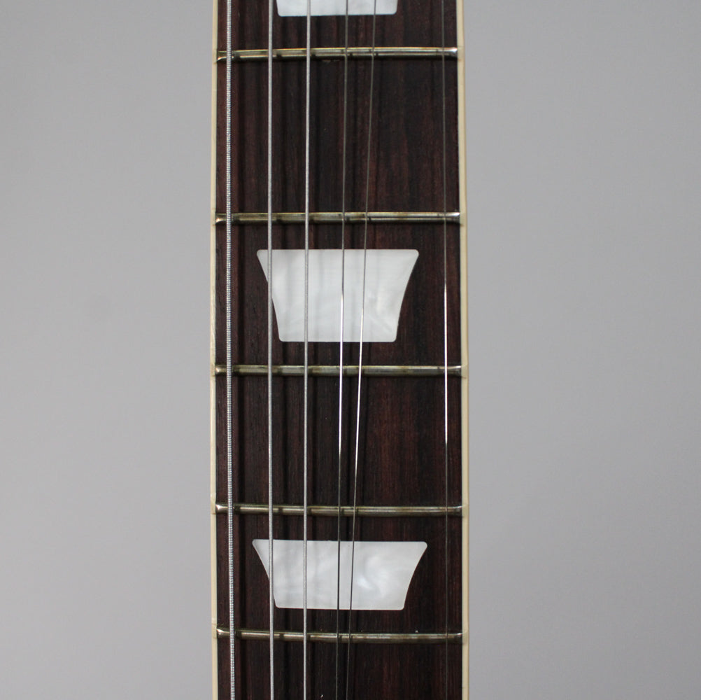 Close-up of the dark rosewood fretboard with trapezoid mother-of-pearl inlays and silver strings, viewed from the headstock.