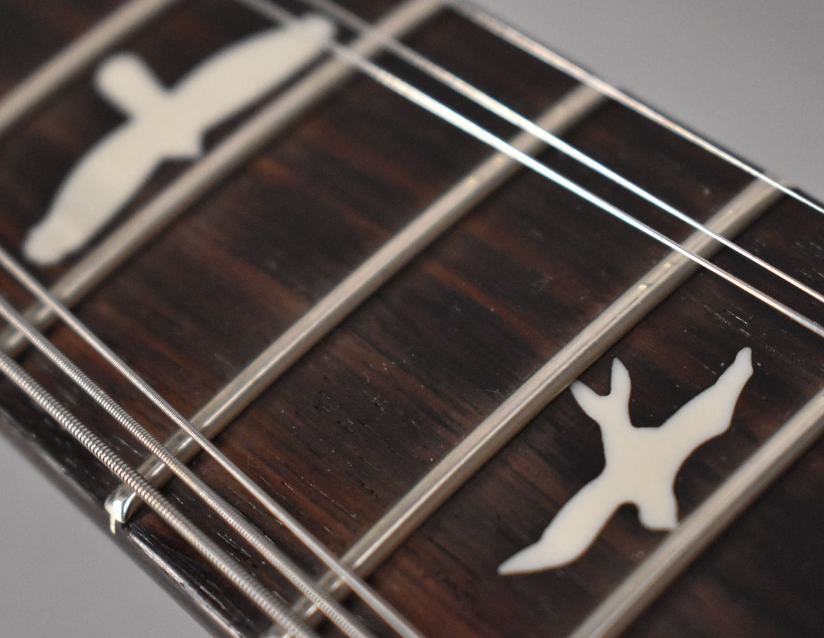 Close-up of the dark rosewood fretboard with two white bird inlays and silver frets, viewed from the lower bass side.