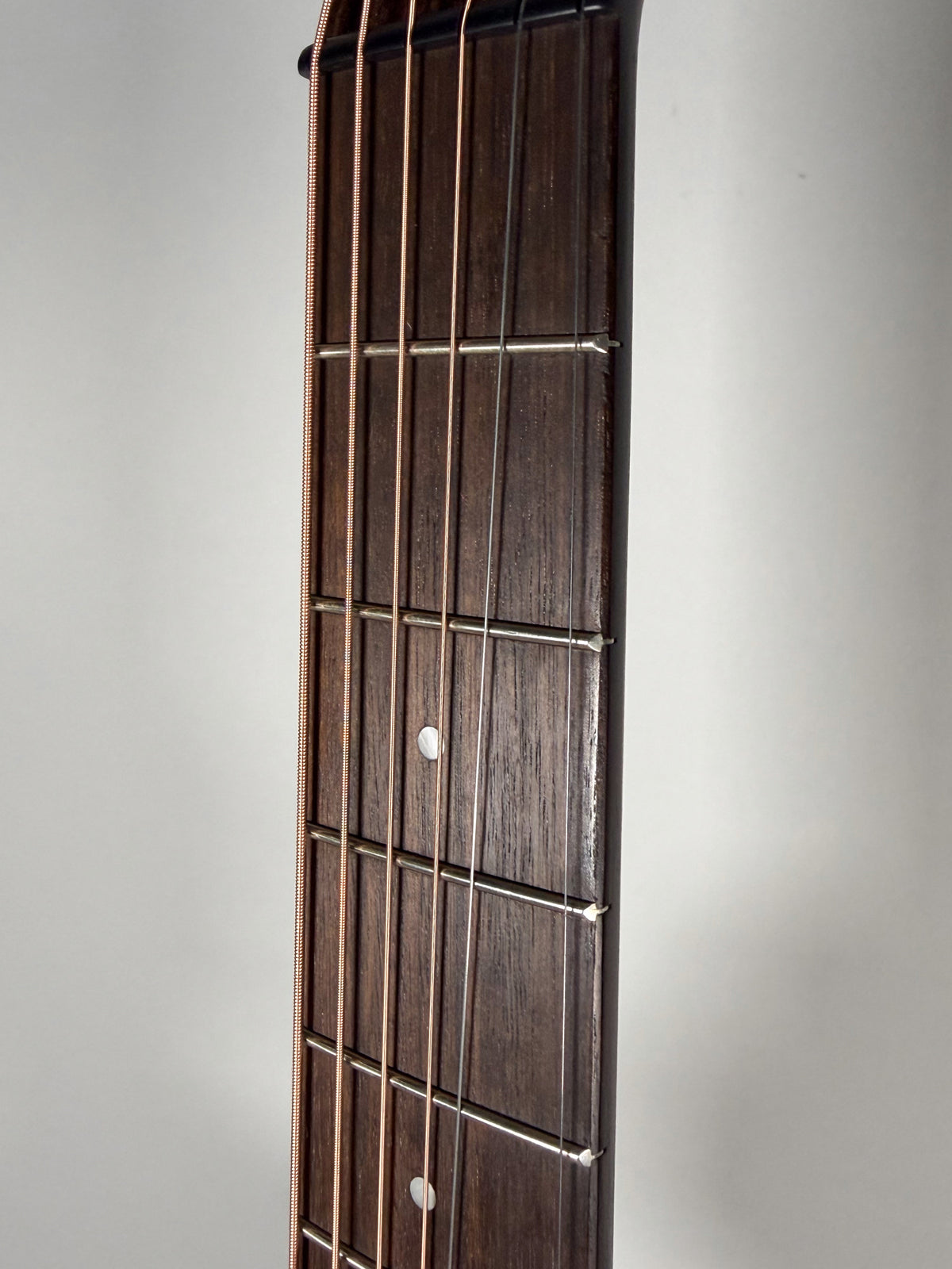 Close-up of the dark wood fretboard and frets, with light strings running vertically and white dot inlays visible.