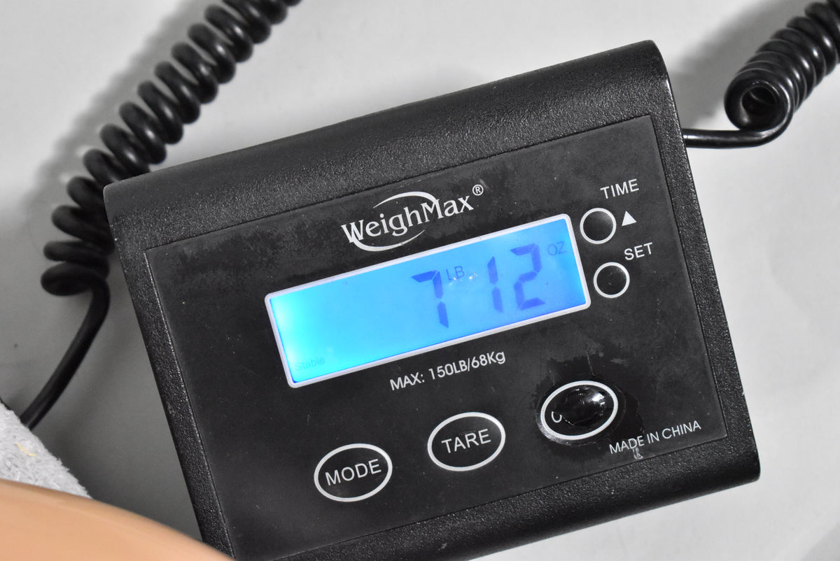 A black digital scale displays "7 LB 12 OZ" in blue, with a coiled black cable extending from the top left.