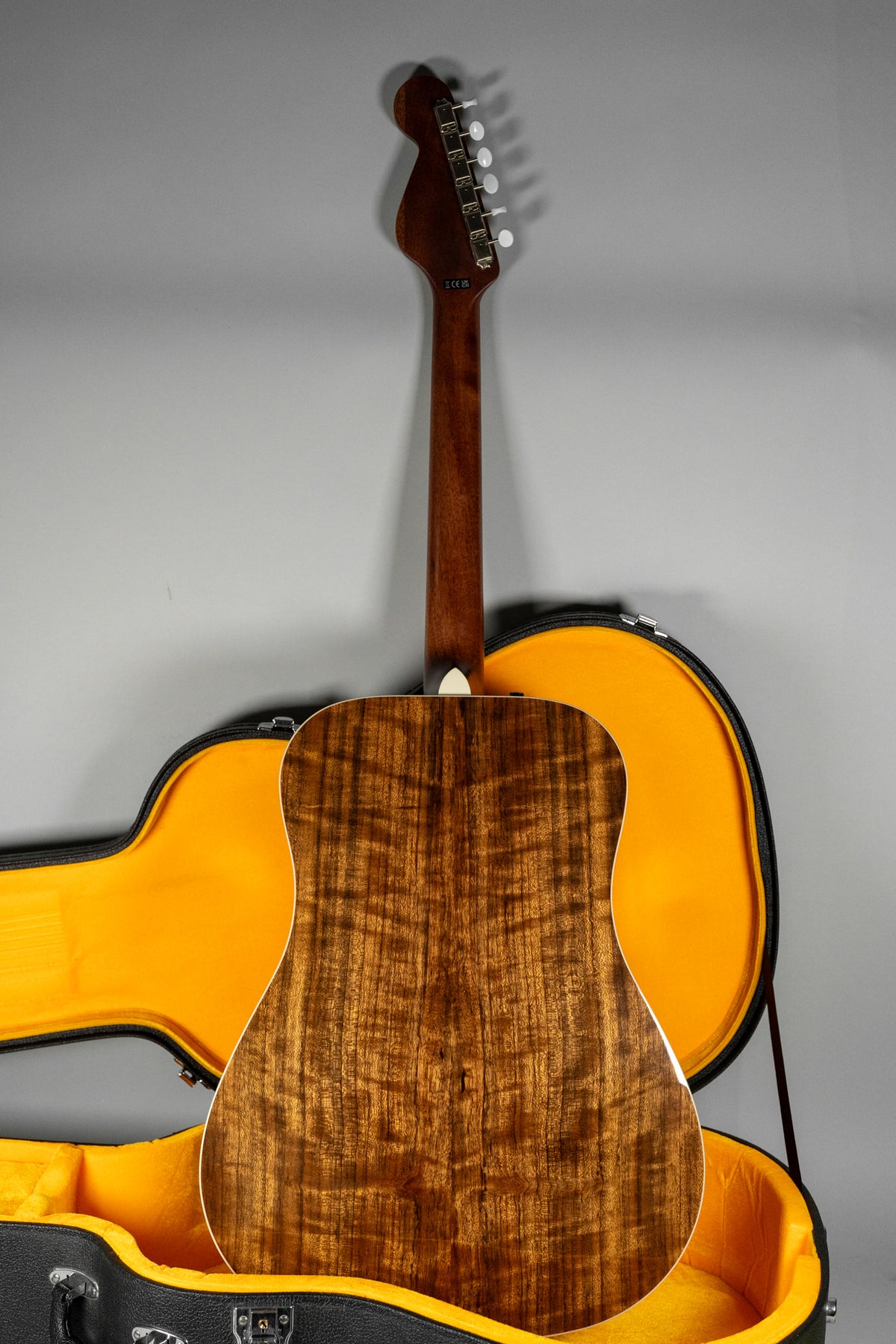 The acoustic guitar's figured dark wood back and neck are visible from behind, with its headstock and an open hard case.