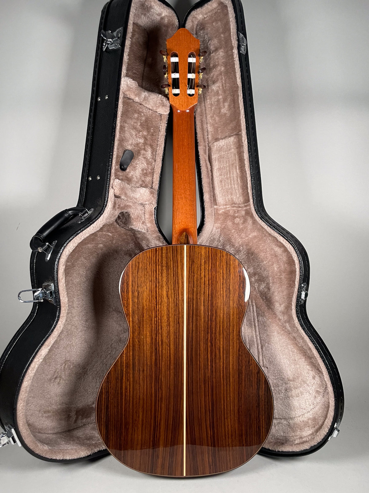 The guitar's glossy dark wood back, with a light center stripe, faces the viewer, its neck and headstock visible above a plush-lined case.