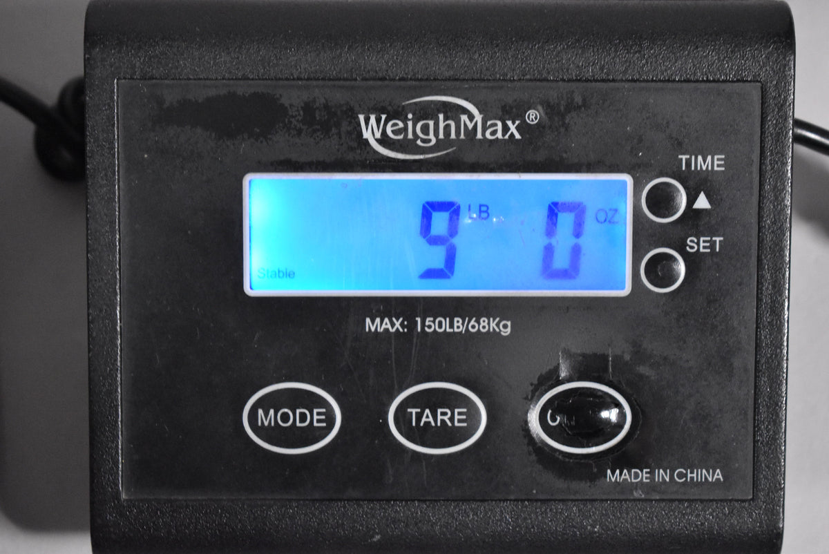 The guitar's weight is displayed as 9 lbs 0 oz on a black digital scale with a blue backlit screen.