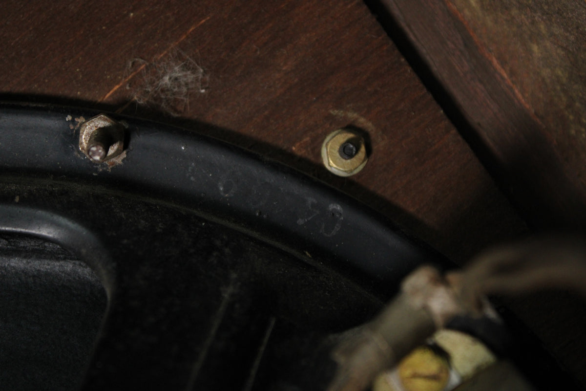 Close-up of the amp's dark brown wooden interior, showing two speaker mounting bolts, one brass, and a dusty black speaker frame.