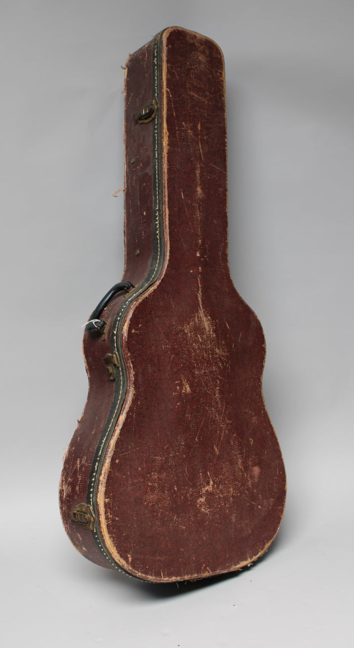 A worn brown snakeskin guitar case stands upright, showing its side profile with a black handle and brass latches.