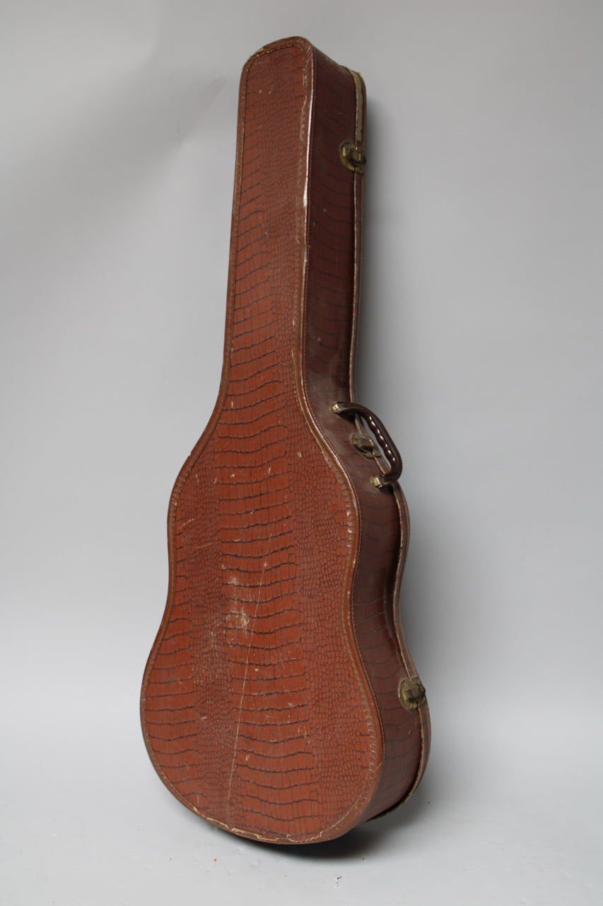 The brown alligator-patterned softshell case stands upright, showing its full length, with a handle and two brass latches visible.