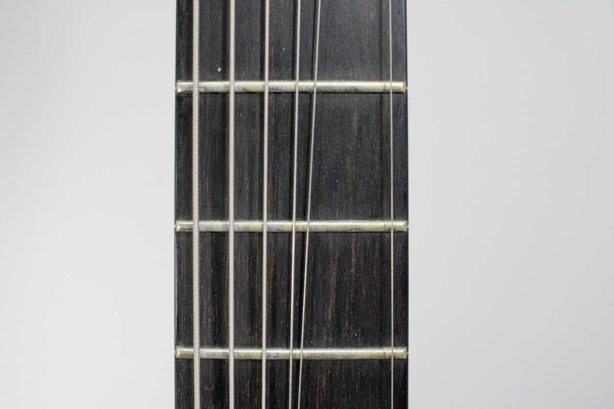 Close-up of the dark fretboard and frets, showing light wear and six strings, against a plain white background.