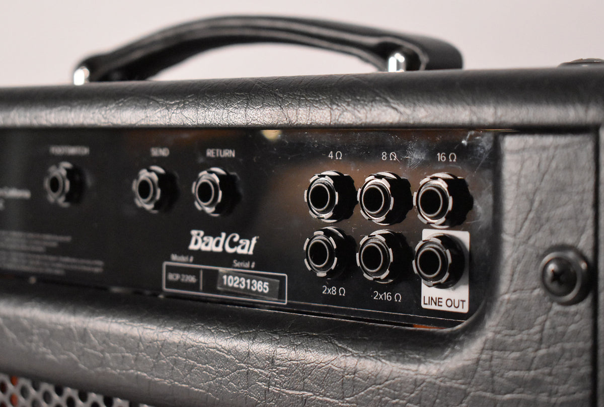 Close-up of the black textured rear panel of the amp head, showing multiple input/output jacks, including 4Ω, 8Ω, 16Ω, and Line Out.