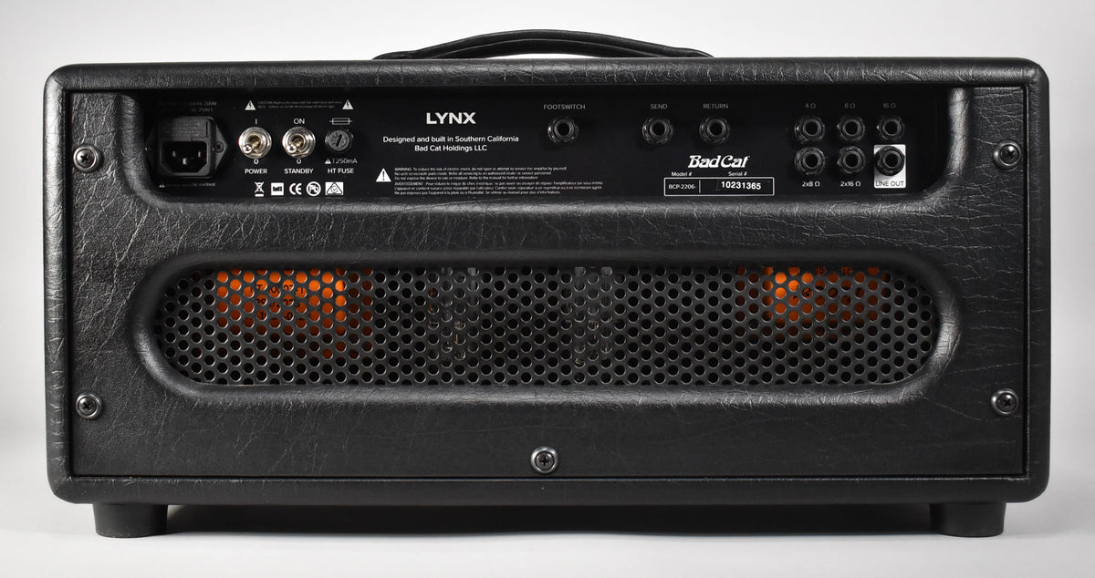 The rear of a black tolex amplifier head, showing a perforated metal grille revealing orange tubes and various input/output jacks.
