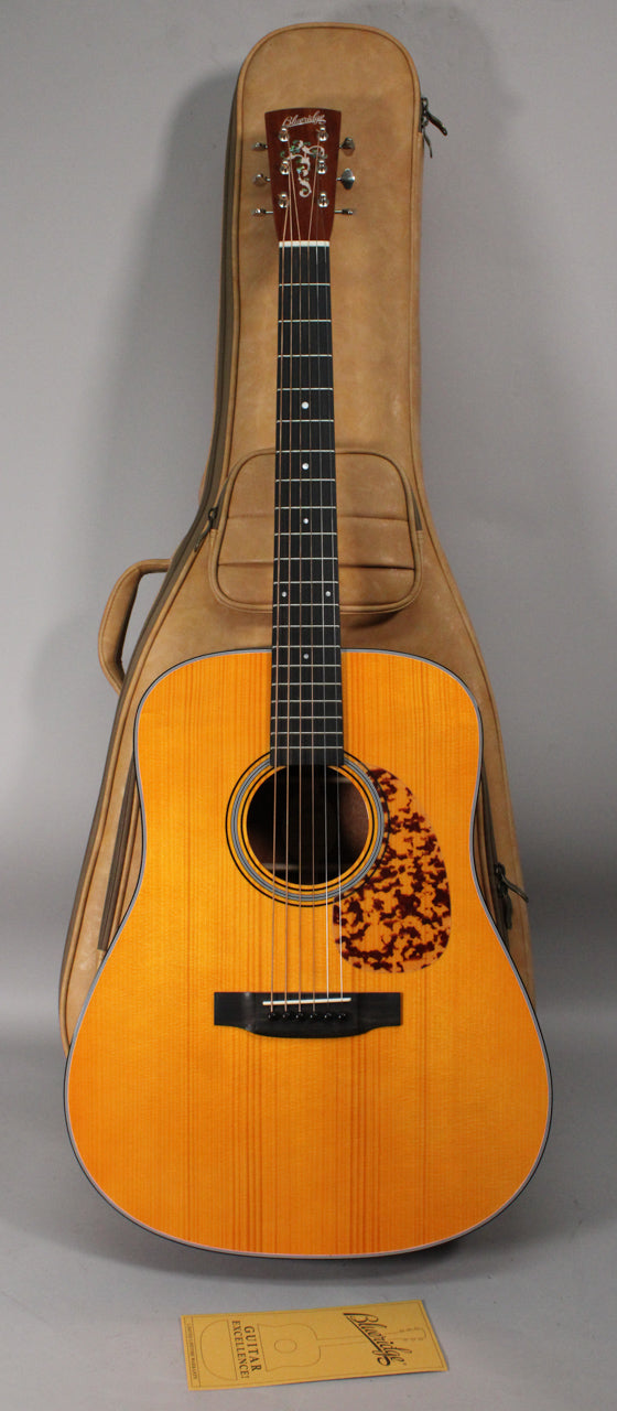 Full-front view of a light-wood dreadnought acoustic guitar with a tortoiseshell pickguard, resting in a tan gig bag.