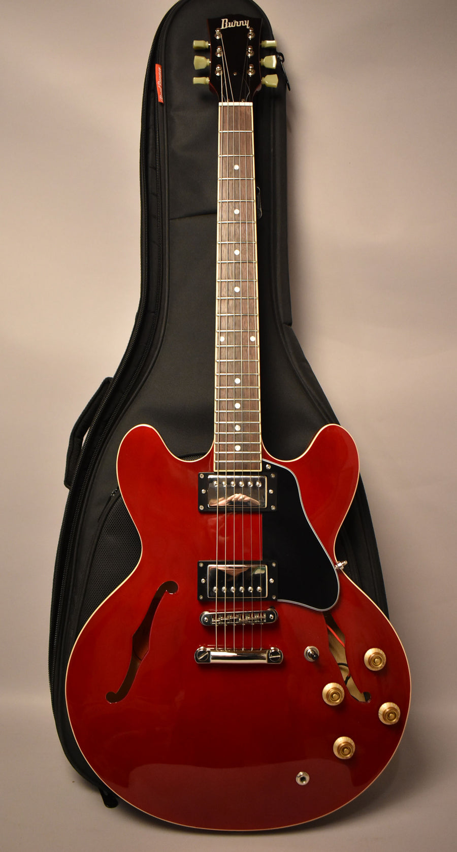 Full-length view of a cherry red semi-hollowbody electric guitar with f-holes, black pickguard, chrome hardware, and gold control knobs.