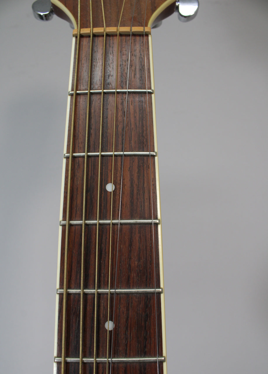 Carvin Cobalt 250 Mahogany Dreadnought w/OHSC