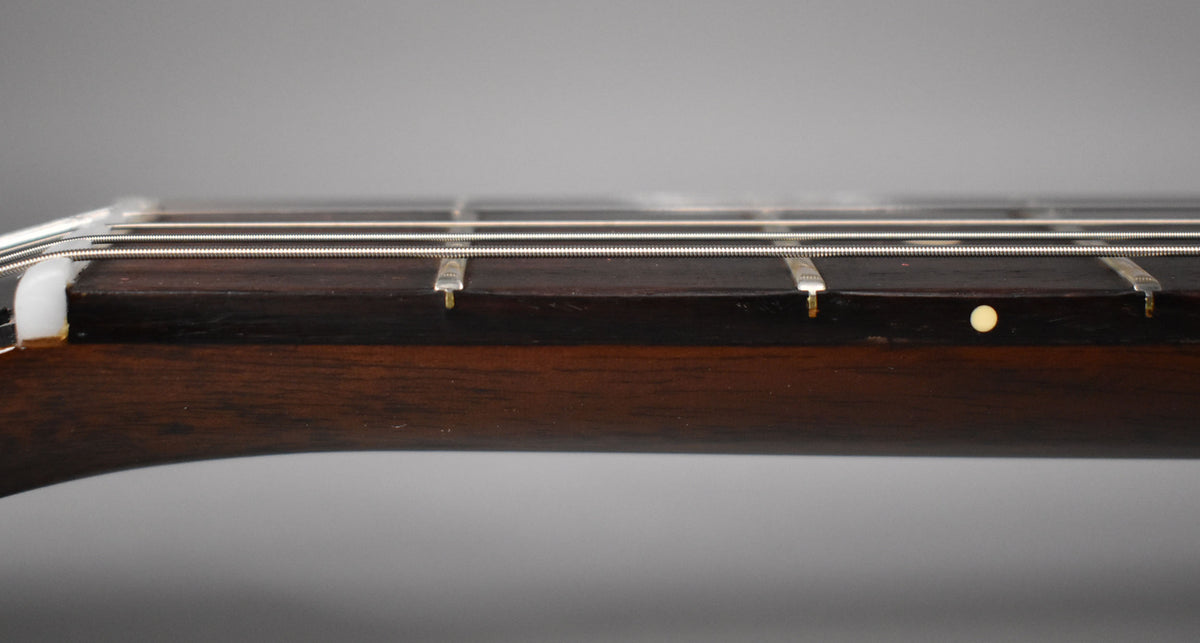 Close-up of the dark rosewood fretboard and neck, showing the white nut, frets, strings, and a single cream-colored dot inlay.
