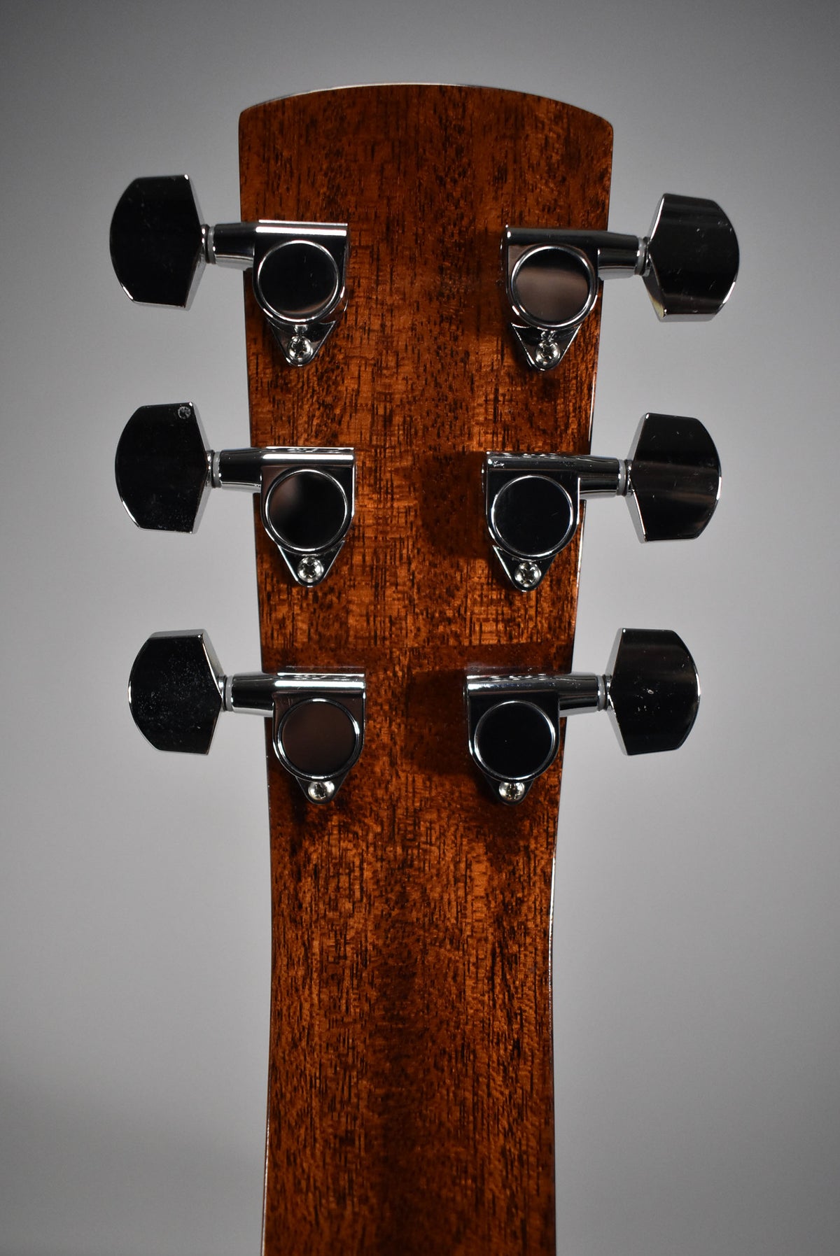 The back of a glossy, dark brown mahogany headstock with six chrome tuners, three on each side.