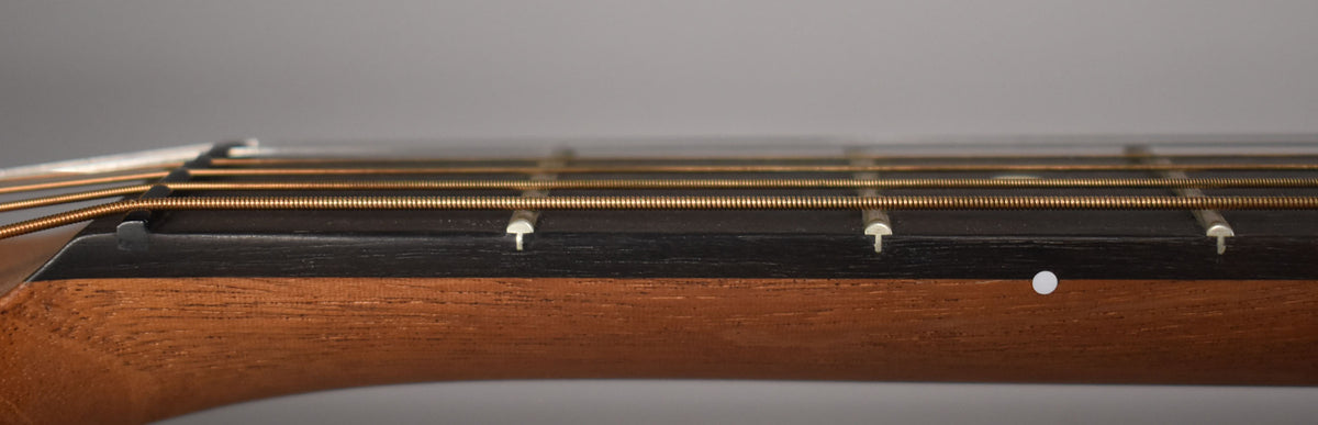 Close-up of the guitar's neck and fretboard, showing the dark wood, bronze strings, and white fret markers from a side angle.