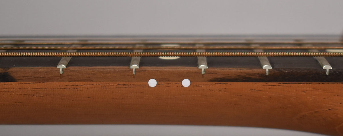 Close-up of the guitar's dark brown fretboard and light brown neck, showing two white side dots and several frets with bronze strings.