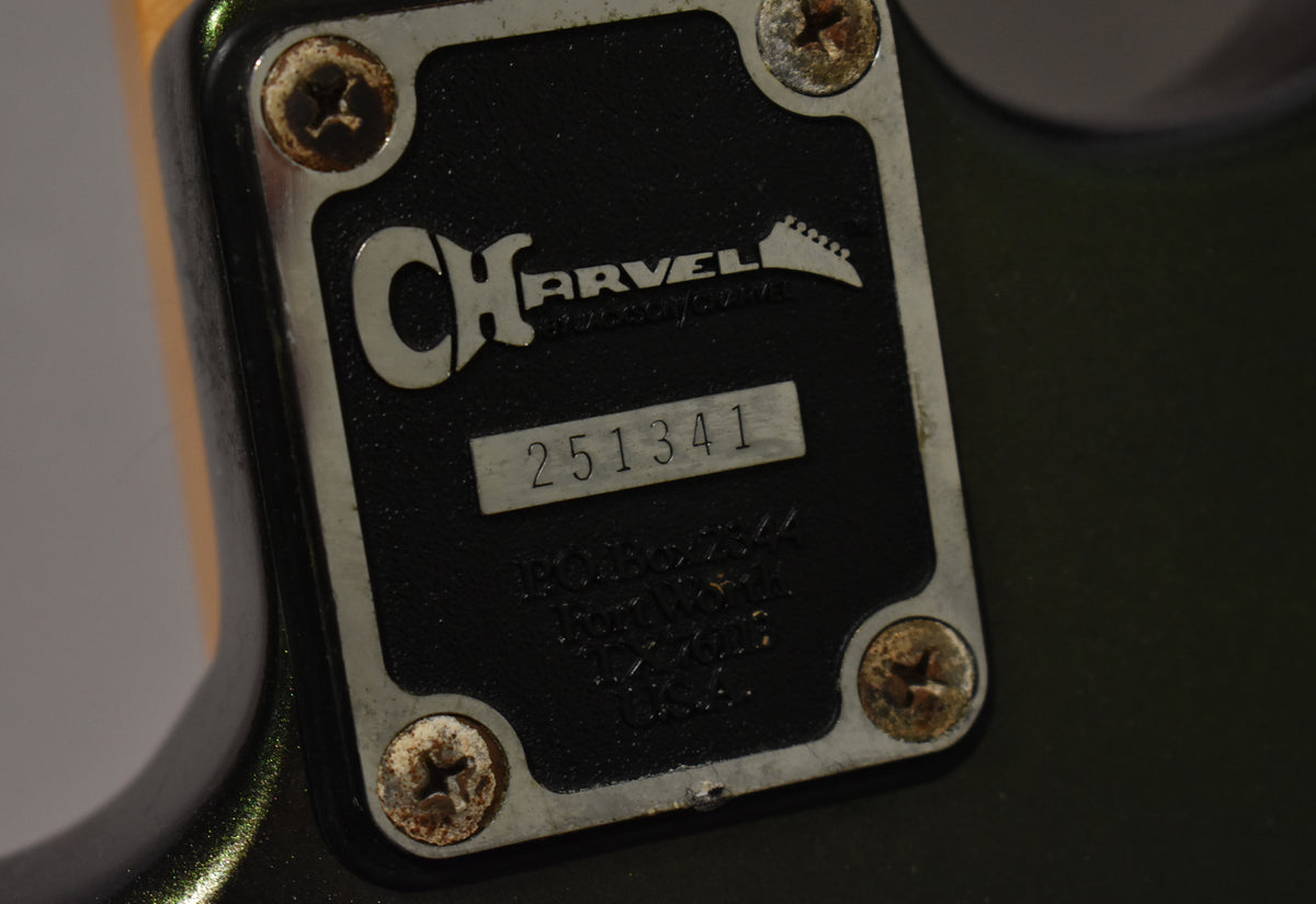 Close-up of the guitar's black neck plate with serial number 251341, secured by four heavily rusted screws.