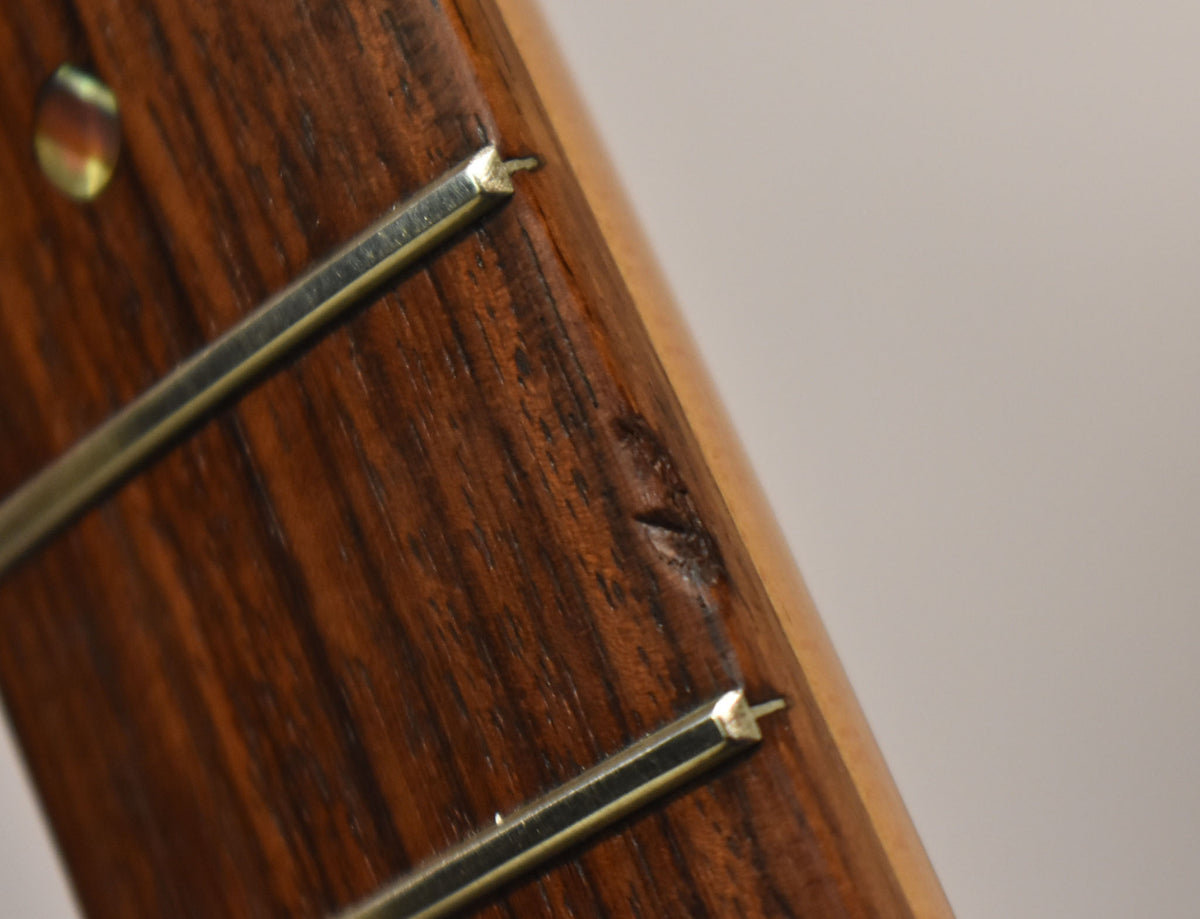 Close-up of the dark rosewood fretboard with two frets, showing a small ding between them and a pearloid inlay at the top left.