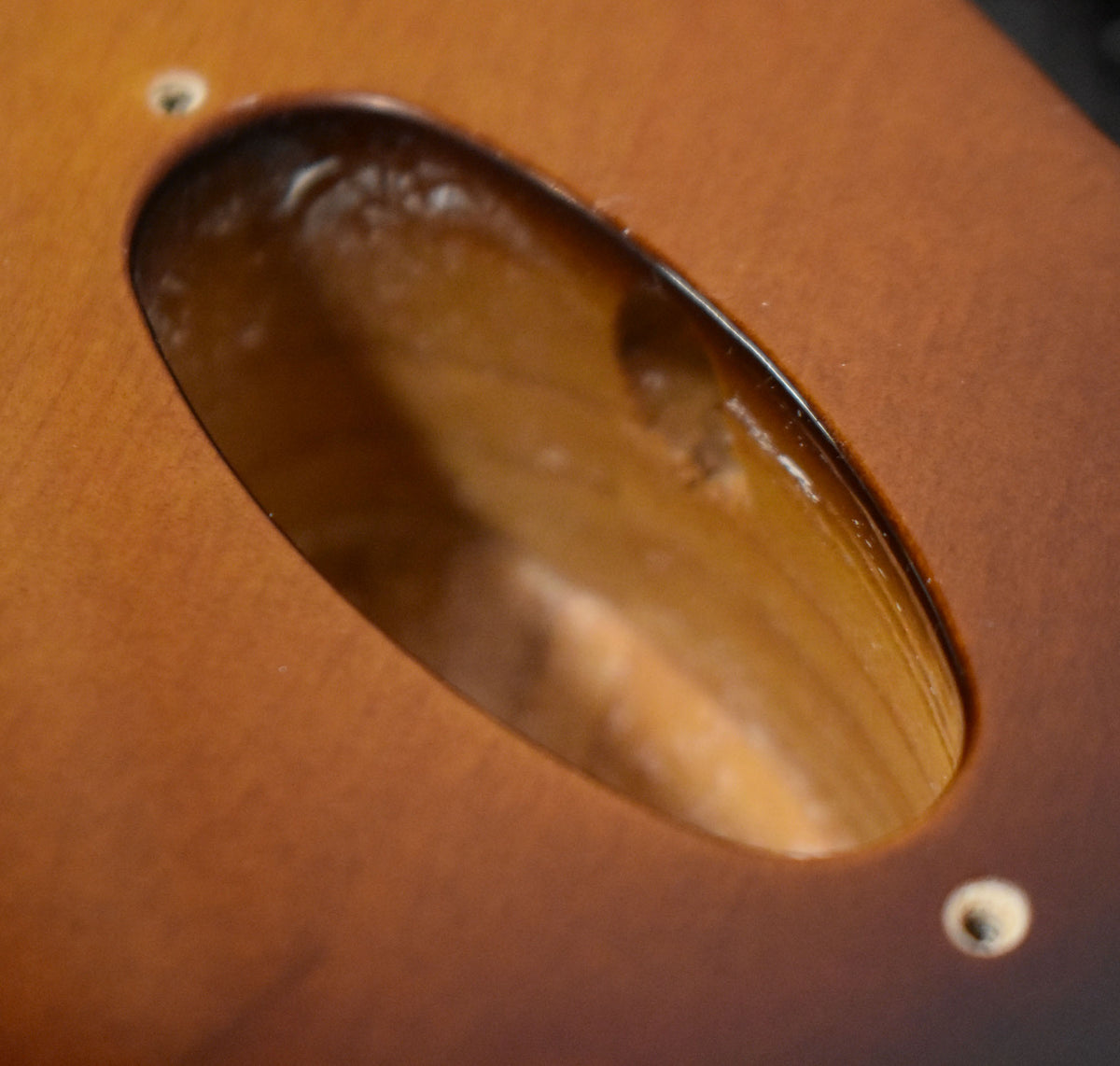 Close-up of the sunburst body's tremolo cavity, showing wood grain and two screw holes, with some light wear inside.