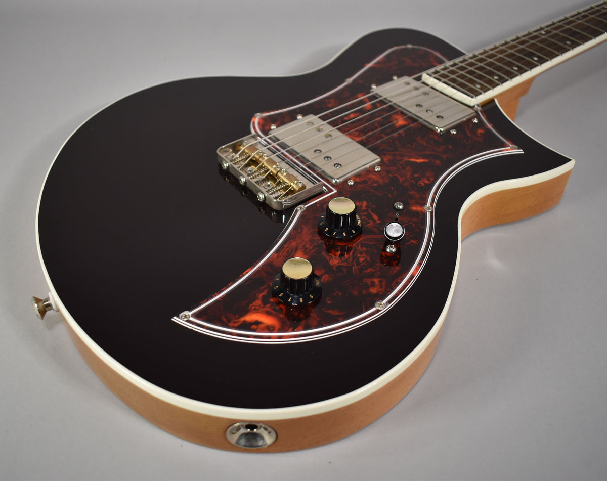 A black electric guitar with a tortoiseshell pickguard, two gold-topped knobs, and a chrome bridge.