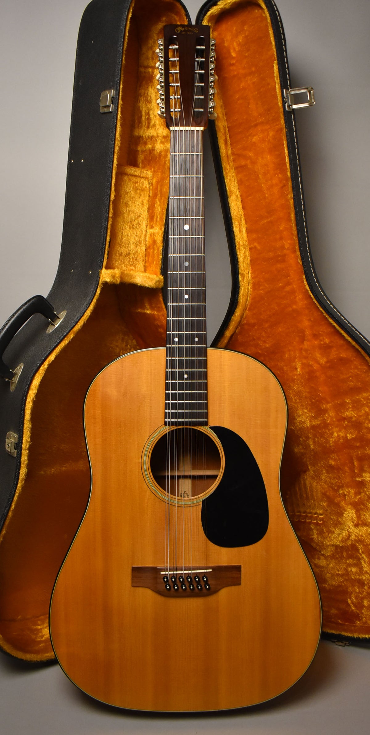 Full-front view of a natural finish 12-string acoustic guitar with a black pickguard, standing in an open black case with orange lining.