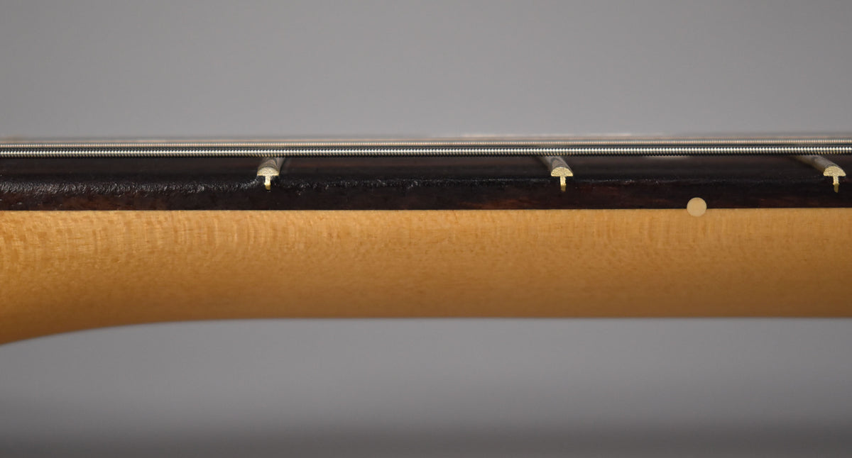Close-up of the Telecaster's dark fretboard and light maple neck, showing three frets, strings, and a light-colored side dot.